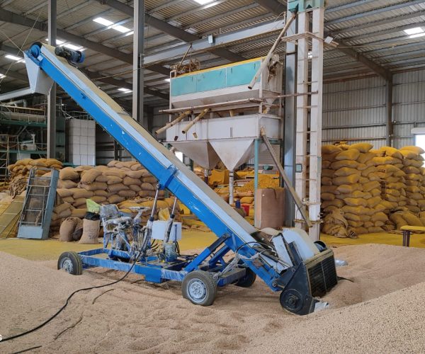 Grain Conveyor